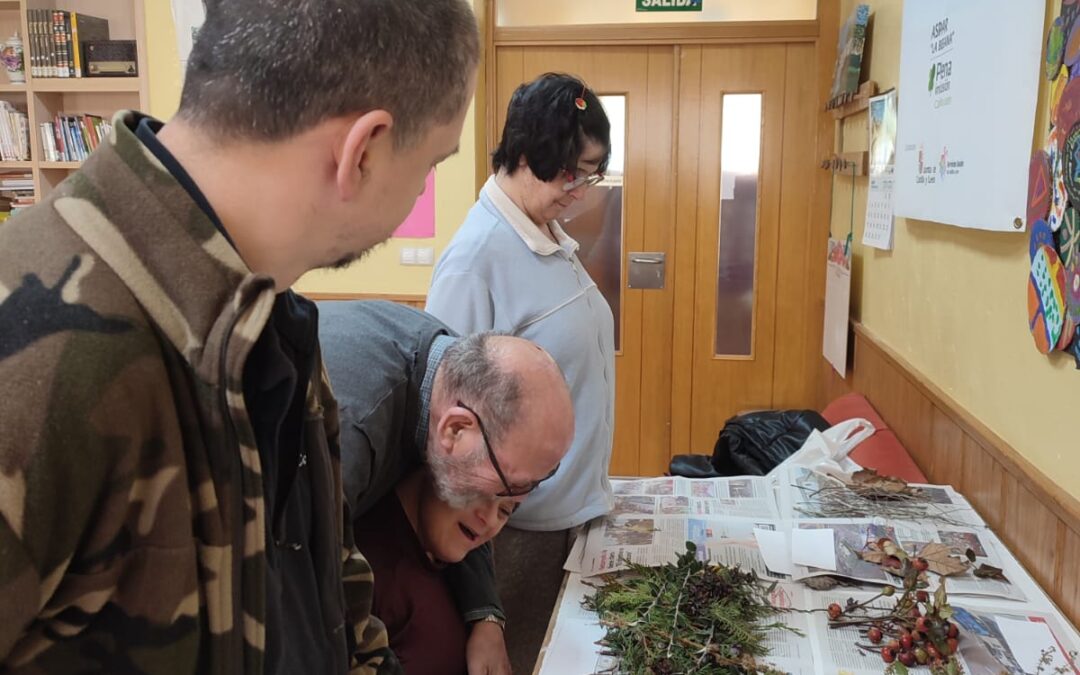 PROYECTO «+BIODIVERSIDAD+SOSTENIBILIDAD» :Experimentamos con los ecosistemas