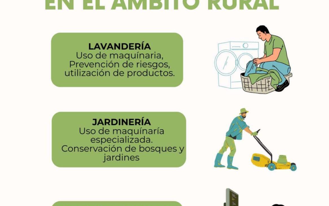 Nuevo programa de empleo en 2026 para personas con discapacidad