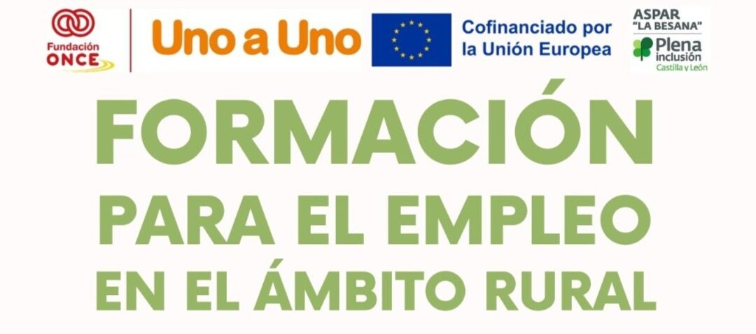 Nuevo programa de empleo en 2026 para personas con discapacidad